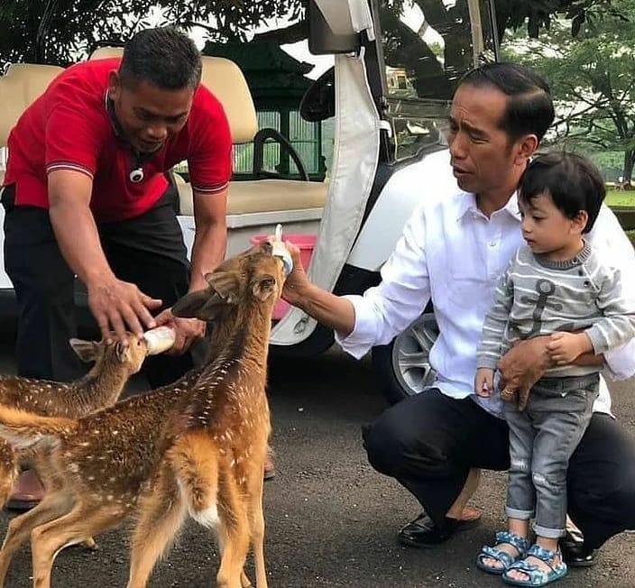 Cucu Jokowi, Jan Ethes