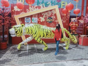lampion shio macan