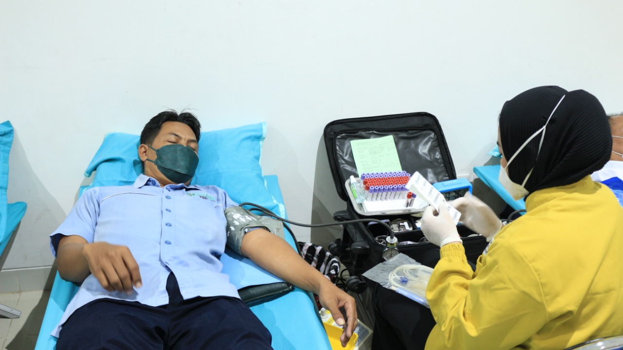 donor darah