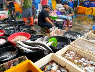 pasar ikan balekambang