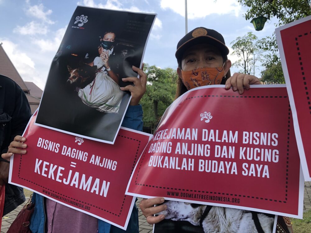 Dog Meat Free Indonesia