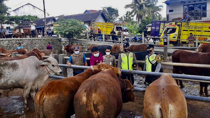 979A5F00-4C5D-4F12-8482-D399CEC96C44 Pasar Hewan Wonogiri