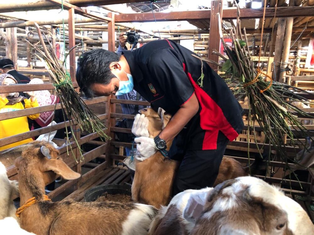 Penyakit Mulut dan Kuku