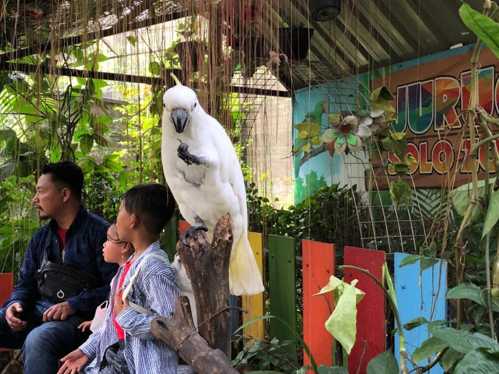 Taman Jurug