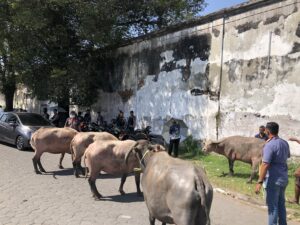 2932F9A9-D1D8-4750-B74C-5CB0B3827FAC 2932F9A9-D1D8-4750-B74C-5CB0B3827FAC