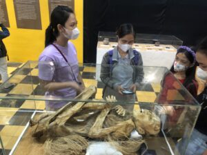 C5F6E5D9-B5F9-48D2-A37C-34D96E9A89D0 Museum