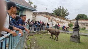 IMG-20221105-WA0020 IMG-20221105-WA0020