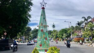 Pohon Natal