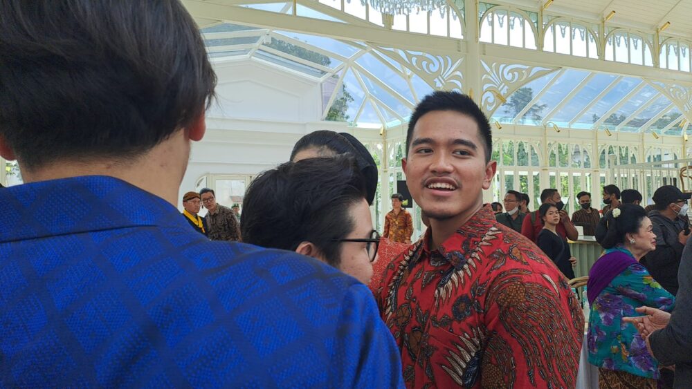 Terjun ke politik