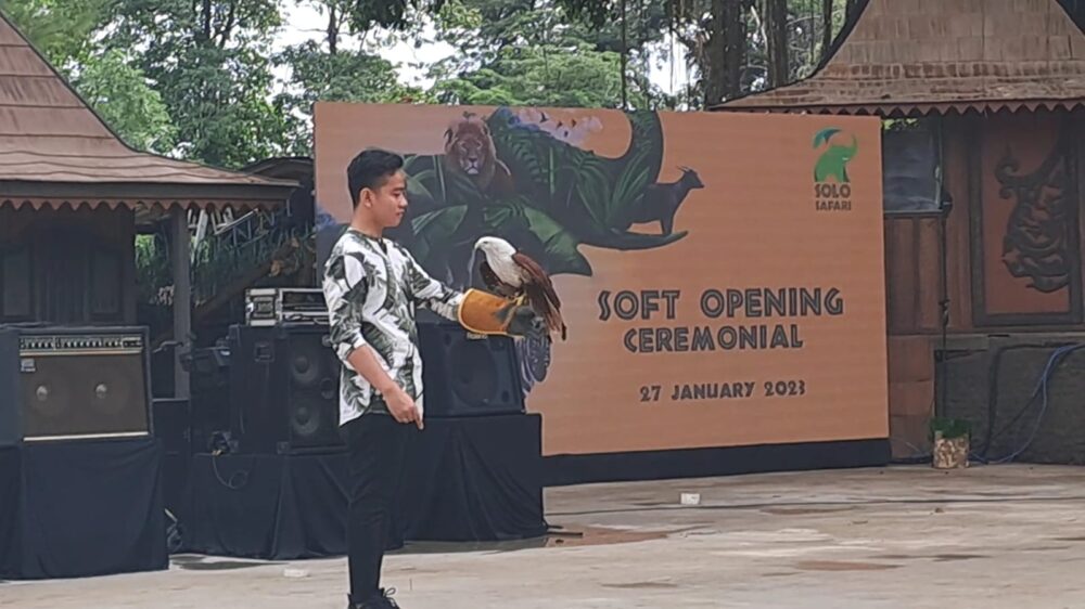 Pembukaan solo safari