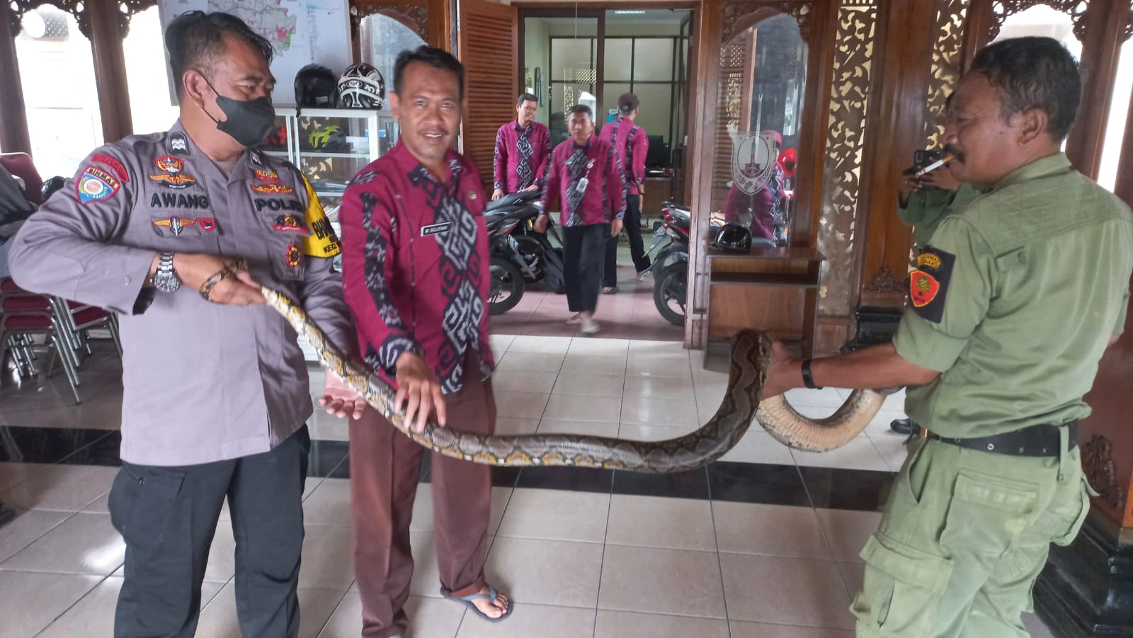Polisi Gajahan Pasar Kliwon Tangkap Ular Sancaka
