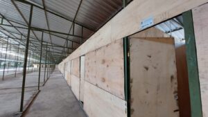 Pasar Jongke, Gibran jamin lapangan Jegon