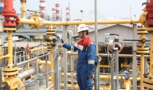 PGN, Tambaklorok, gas bumi