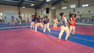 Taekwondo PMS