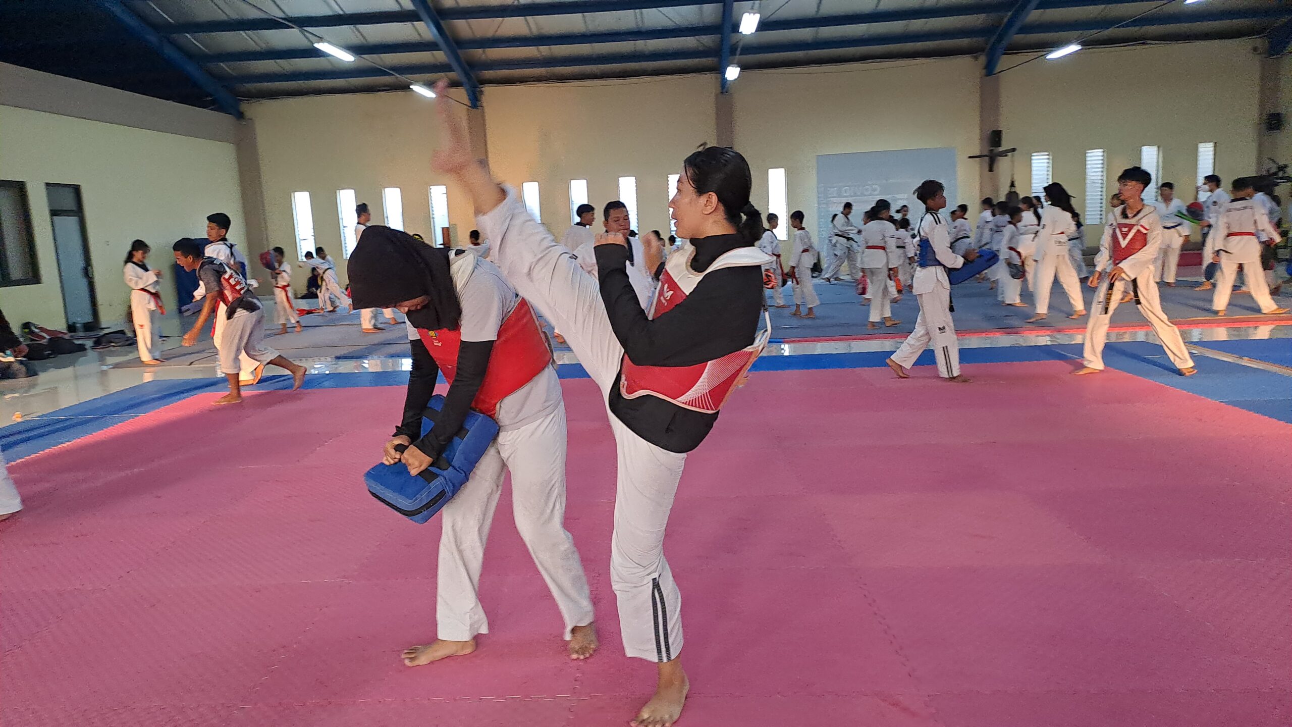 Taekwondo