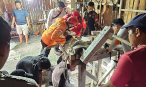 delapan penambang emas terjebak