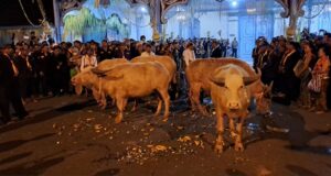 Kirab 1 Sura, Keraton Surakarta, Kerbau Kiai Slamet