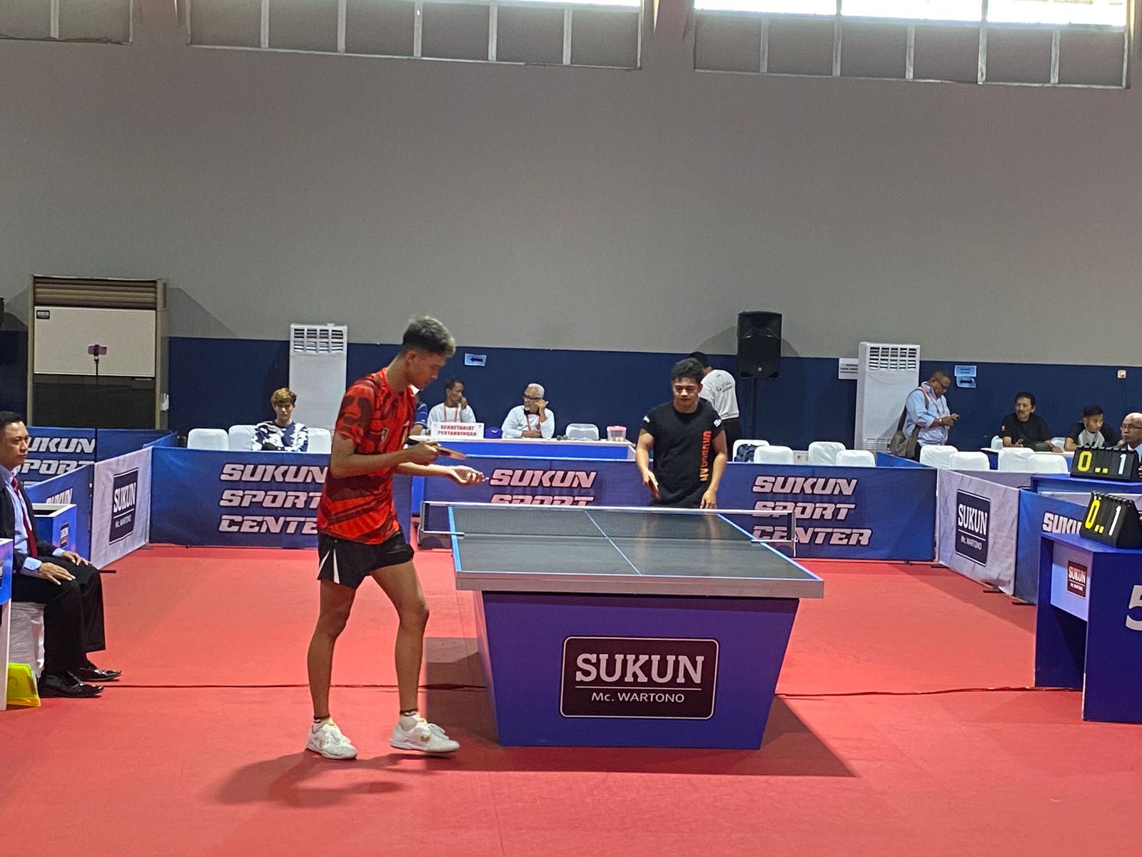 Tenis meja