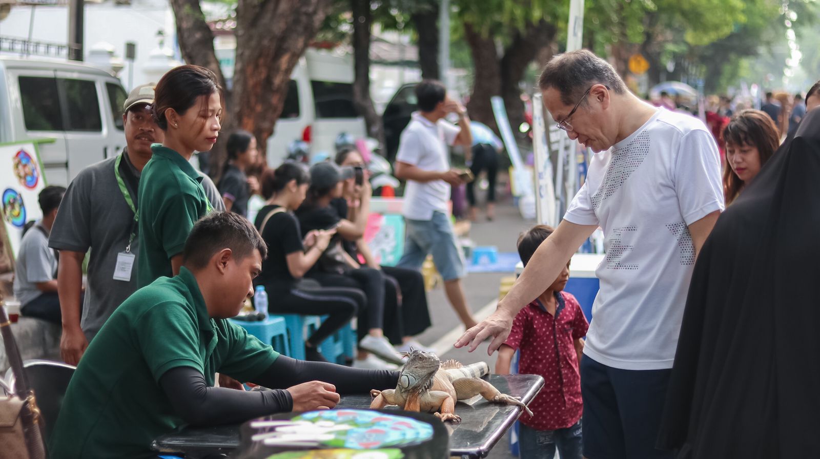 Solo Safari