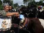 Doa Kesehatan Ternak Sapi