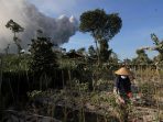 Pilar Pertumbuhan Ekonomi Indonesia