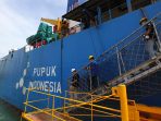 Ketersediaan pupuk subsidi untuk musim tanam awal 2025