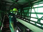 Ketersediaan pupuk subsidi untuk musim tanam awal 2025