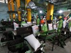 Ketersediaan pupuk subsidi untuk musim tanam awal 2025