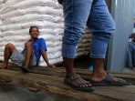 Ketersediaan pupuk subsidi untuk musim tanam awal 2025