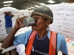 Ketersediaan pupuk subsidi untuk musim tanam awal 2025