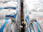 Ketersediaan pupuk subsidi untuk musim tanam awal 2025