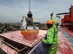 Ketersediaan pupuk subsidi untuk musim tanam awal 2025