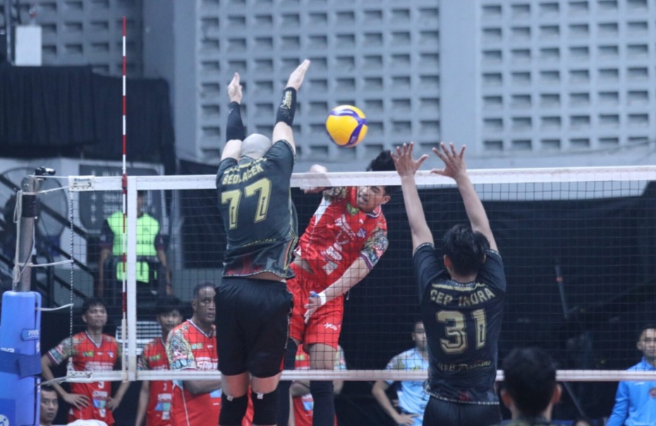 PLN Mobile Proliga 2025