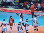 Proliga