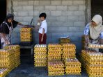 01 IMG_1688 01 IMG_1688