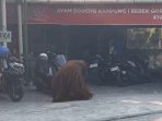 IMG-20260818-WA0042