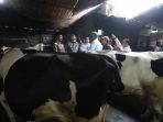IMG-20261031-WA0057